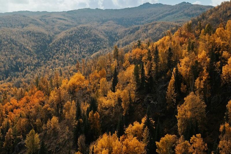 Rolling autumn hills in southern Vermont near the New Hampshire border.